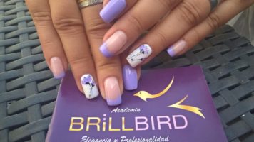 Brillbird Canarias
