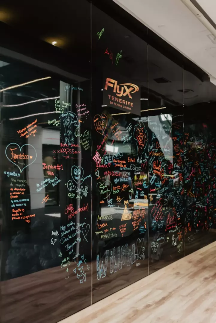 flyx 1